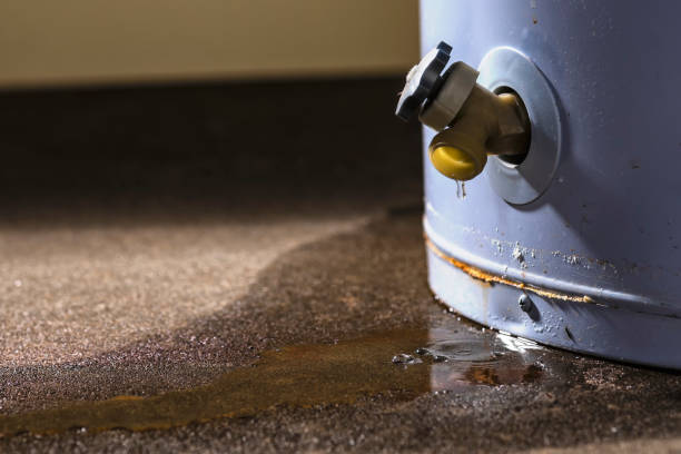 Best Local water damage restoration  in Havelock, NC