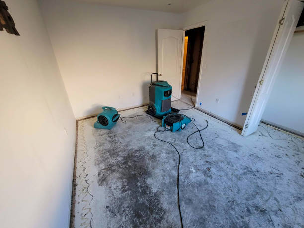 Best Basement water damage restoration  in Havelock, NC